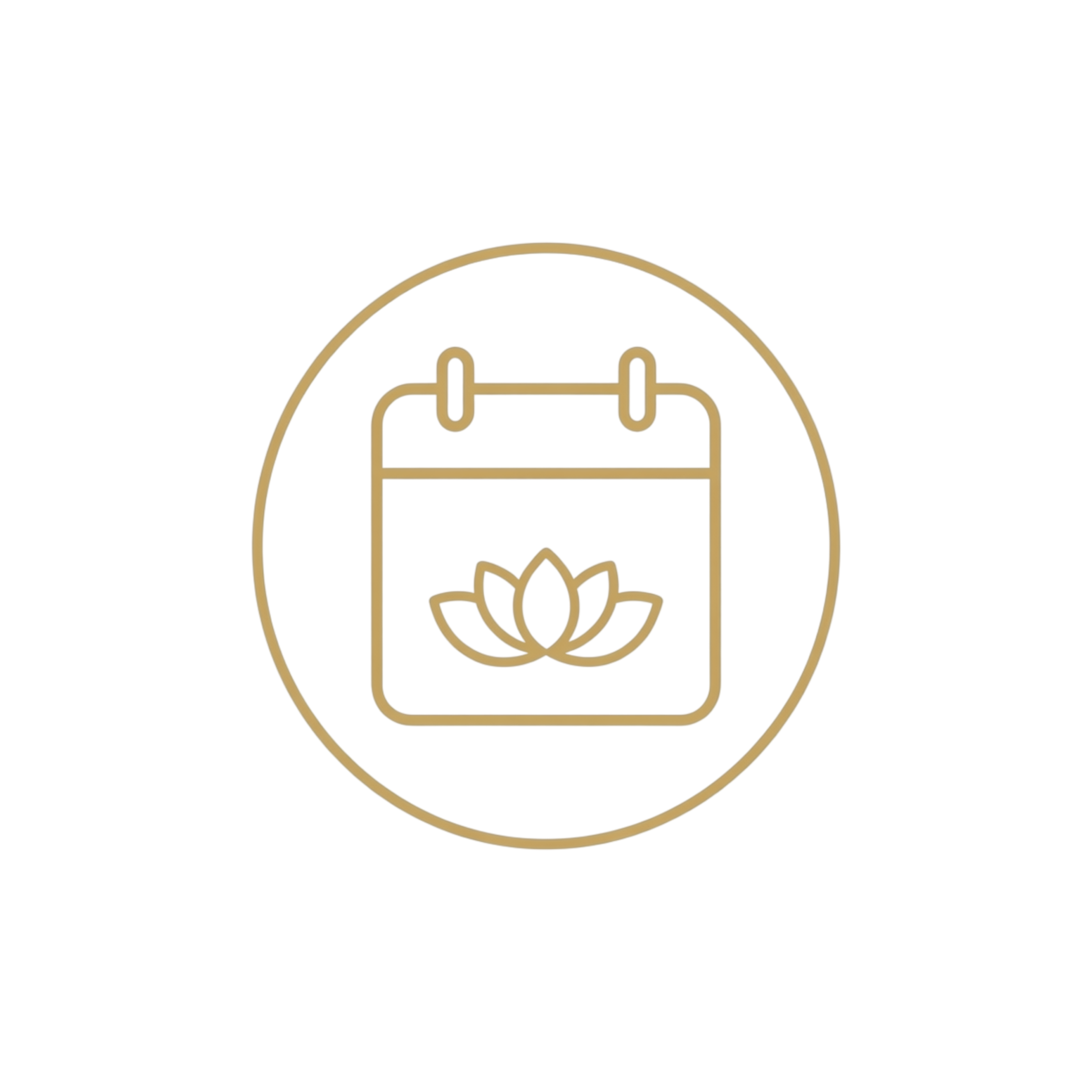 Termin Icon Gold